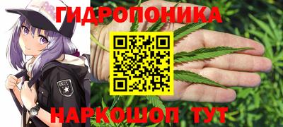 спайс Кулебаки