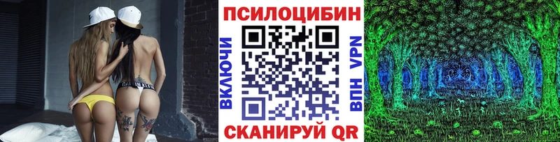 KRAKEN рабочий сайт  Ессентуки  Псилоцибиновые грибы Cubensis  магазин   