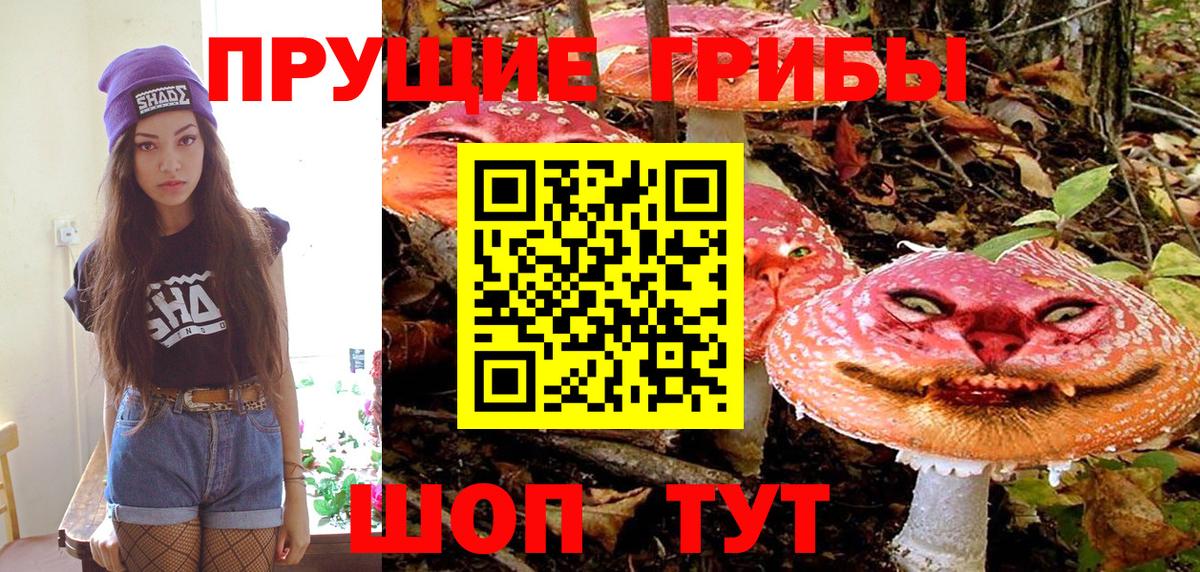Галлюциногенные грибы мухоморы Ессентуки